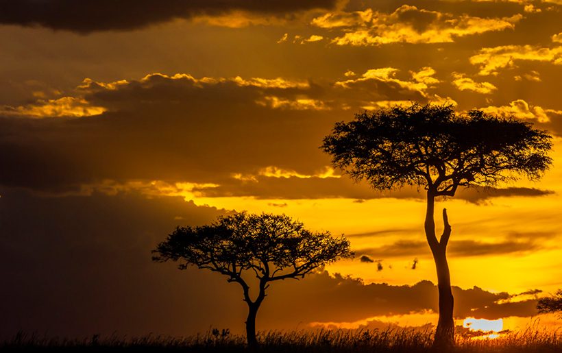 Doğa fotoğrafçısı Süha Derbent eşliğinde Serengeti & Arusha