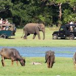 Gallery Thumbnail 10