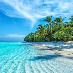 Gallery Thumbnail 12