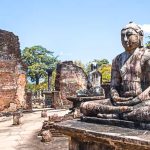 Gallery Thumbnail 11